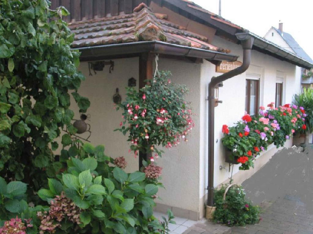 מולהיים Ferienwohnung Am Blumengaessle מראה חיצוני תמונה